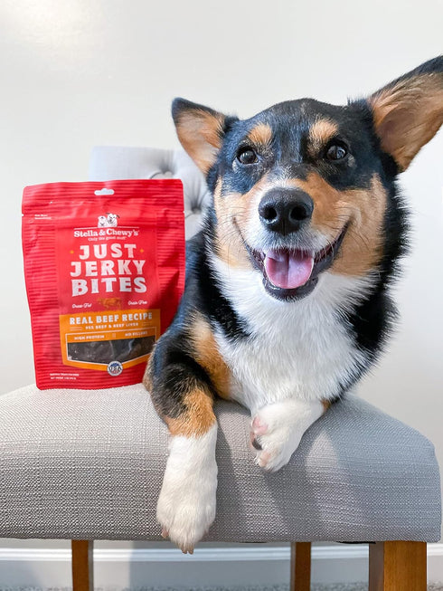Stella & Chewy's Just Jerky Bites Real Salmon Recipe Dog Treats, 6 oz. Bag...