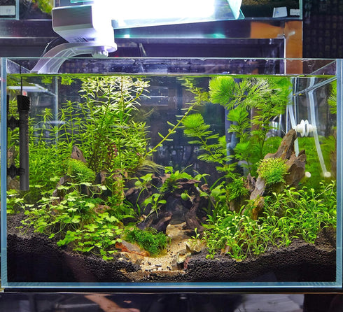 Aquarium Heater for Fish Tank 50W for up to 20 Gallons Tanks Shatterproof for both Marine and Fresh Water Engineering Plastic Tube outside and Sta...
