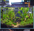 Aquarium Heater for Fish Tank 50W for up to 20 Gallons Tanks Shatterproof for both Marine and Fresh Water Engineering Plastic Tube outside and Sta...