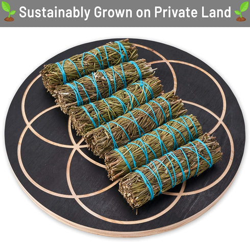Rosemary Smudge Sticks 4 Inch | Rosemary Sage Smudging Wands | Wholesale Sage Bulk Sage Kit | Salvia Blanca para Limpiar | Sustainably Sourced Cal...