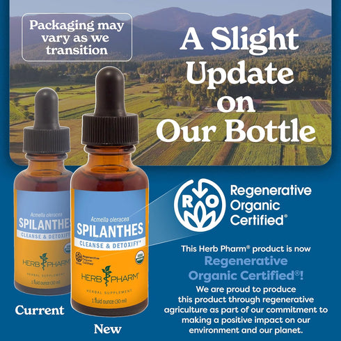 Herb Pharm Certified Organic Spilanthes Liquid Extract for Cleansing and Detoxification - 1 Ounce...