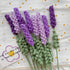Lily's Lyric Flower Crochet Kit | Lavender Flower with Paper Bag| Step-by-Step Video Tutorial for Adults Teenagers | Craft Gift Idea DIY Home Deco...