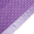 Pro Goleem Baby Soft Minky Dot Blanket with Silky Satin Backing Baby Gifts for Boys and Girls (Purple, 30’’ x 40’’)...