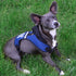 Pets First Collegiate Pet Accessories, Hooded Harness, Wisconsin Badgers, Medium...