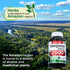Lab | pomegranate | pomegranate extract capsules | 180 capsules | 12000 mg | pomegranate extract | pomegranate capsules | pomegranate supplement |...