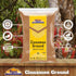 Rani Cinnamon Powder (Ground) Spice 3.5oz (100g) ~ All Natural | Salt-Free | Vegan | No Colors | Gluten Friendly | NON-GMO...
