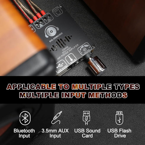 C50HS Bluetooth Amplifier Board TPA3116D2 HiFi Chip 12-24V DC Input,Support USB Sound Card/USB Flash Driver, AUX, Bluetooth Multiple Input Modes (...