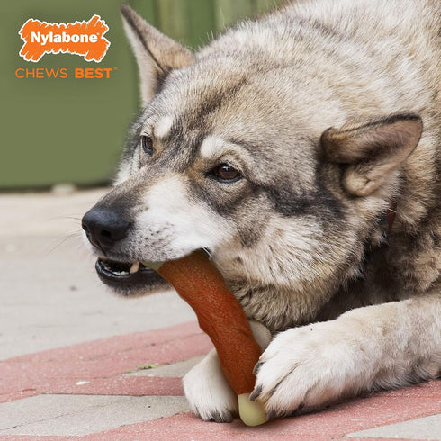 Nylabone Power Chew Marrow Bone Alternative Nylon Chew Toy for Dogs, Dog Toys for Aggressive Chewers, Beef Flavor, Large/Giant (1 Count)...