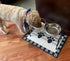 PetRageous 16011 Kona Stainless Steel Non-Slip Dishwasher Safe Dog Bowl 6.5-Cup 8.5-Inch Diameter 2.75-Inch Tall for Large and Extra Large Dogs an...
