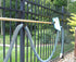 1.5-10-BRZ Slip-on Fence Hooks, Pair, Bronze...
