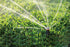 Rain Bird 22SAFPROPR Pressure Regulating (PRS) High-Efficiency Pro Rotary Sprinkler, 360° Full Pattern, 17' - 24' Spray Distance, 4" Pop-up Height...