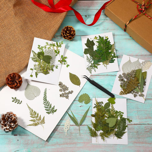 Timtin 84 Pieces Dried Pressed Leaves Flowers for Resin Mini Dried Flowers for Crafts Greenery Assorted for Art DIY Handmade Bookmarks 4 Bags(Vivi...