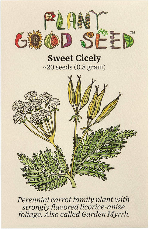 Plant Good Seed Sweet Cicely Seeds - Pack of 20, Heirloom Seeds for Planting Flowers - Gardening Supplies, Herb Garden, Wildflower, Flower Seeds t...