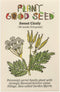 Plant Good Seed Sweet Cicely Seeds - Pack of 20, Heirloom Seeds for Planting Flowers - Gardening Supplies, Herb Garden, Wildflower, Flower Seeds t...