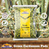 Rani Green Cardamom Pods Spice (Hari Elachi) 3.5oz (100g) ~ All Natural | Vegan | Gluten Friendly | NON-GMO | Product of India...