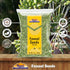Rani Fennel Seeds (Saunf Sabut) Whole Spice 7oz (200g) ~ All Natural | Gluten Friendly | NON-GMO | Kosher | Vegan | Indian Origin...