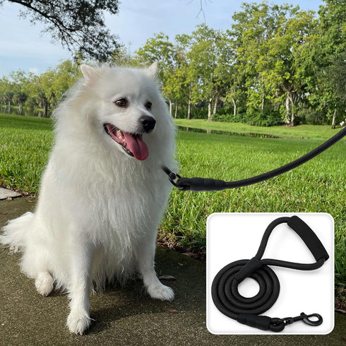 Mile High Life Dog Leash with Comfortable Padded Handle | Black Nylon Rope Dog Leash | Heavy Duty 6 Feet Dog Leashes (Black)...