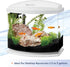 Aqueon Small Aquarium Fish Tank Submersible Mini Flat Heater Up to 5 Gallon Aquariums, 10 Watts...