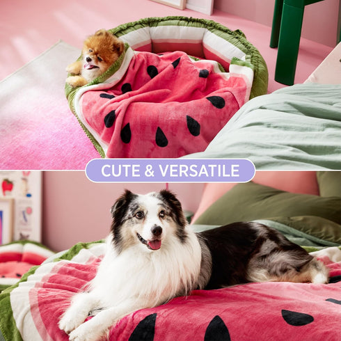 Lesure Puppy Blankets for Small Dogs - Calming Fruit Blanket for Pet, Cute Soft Cozy Fruit Pattern Round Blankets for Dog Gift, 350GSM Flannel Pet...