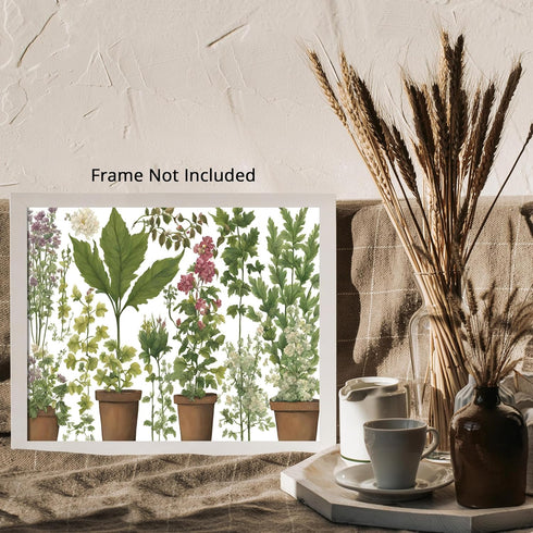 Posterizer 1 pcs- Beautiful plants on small brown pots-Floral Botanical Art- Gift for Men Women Entrepreneur Teens-decor for Bedroom, Office, Livi...
