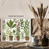 Posterizer 1 pcs- Beautiful plants on small brown pots-Floral Botanical Art- Gift for Men Women Entrepreneur Teens-decor for Bedroom, Office, Livi...
