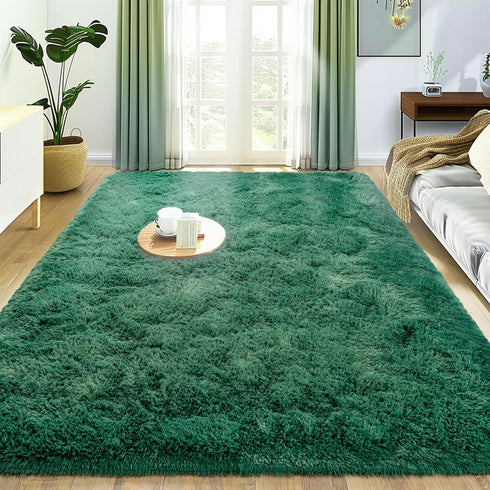 Small Rugs for Bedroom, 2x3 Fluffy Bedroom Rug, Soft Fuzzy Area Rug for Living Room Dorm, Non Slip Shag Rugs for Girls Boys Bedroom, Soft Kids Car...