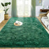 Small Rugs for Bedroom, 2x3 Fluffy Bedroom Rug, Soft Fuzzy Area Rug for Living Room Dorm, Non Slip Shag Rugs for Girls Boys Bedroom, Soft Kids Car...