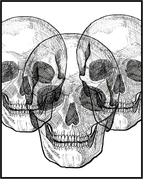 Posterizer 1 pcs-Goth Skull and Raven Dictionary Art-Retro Art-Art for Animal Lovers-Gift for Steampunk or Goth Fans-Living Room Bedroom Decor- un...