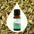 Plant Therapy Sweet Fennel Essential Oil 10 mL (1/3 oz) 100% Pure, Undiluted, Therapeutic Grade...