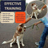 Dog Pinch Collar, Adjustable Quick Release Choke Training Collar, Stainless Steel Prong Collar for Large Medium Small Dogs (S, 8.5-10.5 Inches)...
