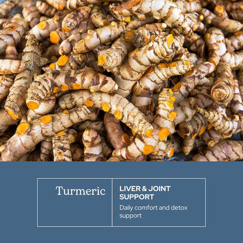 ECLECTIC INSTITUTE Raw Freeze-Dried Turmeric | US Grown | Vegetarian, Non-GMO, Gluten Free | 90 CT (395 mg)...