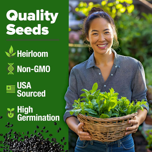 Home Grown Premium Common Mint Seeds - 1800 Non-GMO Heirloom Herb Seeds, USA Sourced | Ideal for Planting Mint Seeds Outdoors or Indoors for a Fre...