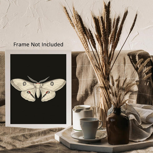 Posterizer 1 pcs-detailed delicate beautiful moth art 3-Art for Animal Lovers-Retro Art-Gift for Men Women Entrepreneur Teens School and classroo...