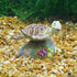 Penn-Plax Finding Nemo Resin Ornament Aquarium Decor, Crush, 3" x 2.5" x 2.5"...