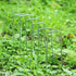 Garden Stakes, 6 Inch Galvanized Steel Landscape Staples, U-Shaped Ground Stakes, Stakes for Landscaping Securing Weed Barrier Fabric, Irrigation ...