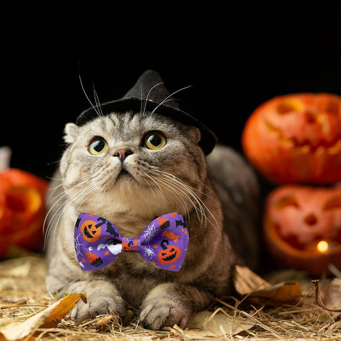 Halloween Dog Collar with Bow Tie, Holiday Pumpkin Jack-O-Lantern Collar for Small Medium Large Dogs Pets Puppies...