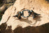 Troika K-REX – KR17-39/GM – Keyring – T-Rex, Tyrannosaurus Rex, dinosaur, dino – cast metal– shiny – gunmetal grey original...
