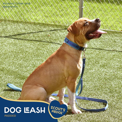 Good Scout Padded Handle Dog Leash, Durable Walking & Training Leash for Puppies & Adult Dogs with 2 Handles, Blue/Sky...