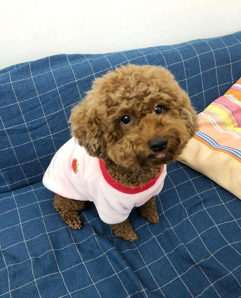 Puppy Dog Clothes Winter Sweater Warm, Flannel Velvet Pet Cat Cute Fruit Fleece Teddy Bichon Pomeranian Small Dog, Ideal Gift for Pet on Christmas...