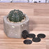MECCANIXITY Flower Pot Hole Mesh Pad 1 Inch Bonsai Plant Bottom Round Plastic Soil Grid Screen Mat, Black Pack of 50...