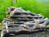 Natural Cholla Wood for Aquarium Decoration Shrimp and Fish Tank (4 Inch (5 Pack))...