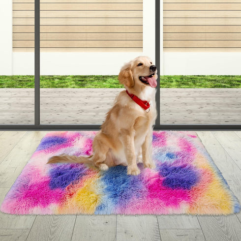 2x3 ft Small Throw Rugs Furry, Non Slip Mini Area Rug, Fluffy Tie-Dyed Rainbow Carpet,for Bedroom Door Entryway Indoor Inside Front Entrance Dog M...