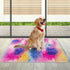 2x3 ft Small Throw Rugs Furry, Non Slip Mini Area Rug, Fluffy Tie-Dyed Rainbow Carpet,for Bedroom Door Entryway Indoor Inside Front Entrance Dog M...
