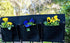 Cloth 6 Pocket Saddlebag Hanging Fence Fabric Bag Planter -Hangs Flowers on Both Sides of The Fence for Patio, Deck, Railing. Perfect for flowers,...