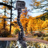 Suptig Jaws Flex Clamp Mount Gooseneck Mount for GoPro Hero 12 Hero 11 Hero 10 Hero 9 Hero 8 Hero 7 Hero 6 Hero 5 Hero 4 Session Hero 3+ Hero 3 Ak...
