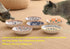Cat Food Bowls Whisker Fatigue Cat Bowl 5.5 Inches Ceramic Cat Bowl Set of 6 Small Cat Dishes for Indoor Cats Shallow Cat Plates for Wet Food Cute...
