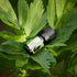 Essences Bulgaria Organic Lovage Essential Oil 1/6 Fl Oz | 5ml | Levisticum officinale | 100% Pure and Natural | Undiluted | Therapeutic Grade | F...