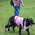 Rescue Dog Leash Sleeve Adopt Me Dog Leash Wrap Pet Adoption Patch (Adopt Me)...