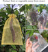50pcs Large Organza Bags 8X12 Inch Gold Sheer Mesh Drawstring Gift Pouches for Christmas Wedding Party Favors (Gold)...