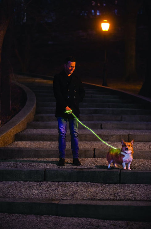 Nitey Leash - LED Glow in The Dark Pet Dog Leash (Green)...